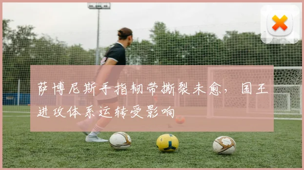 萨博尼斯手指韧带撕裂未愈,国王进攻体系运转受影响